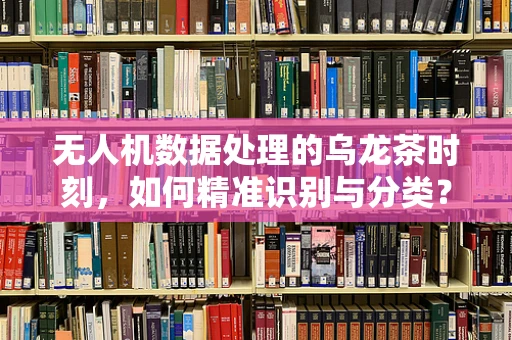 无人机数据处理的乌龙茶时刻，如何精准识别与分类？