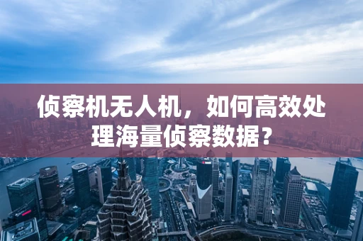 侦察机无人机，如何高效处理海量侦察数据？