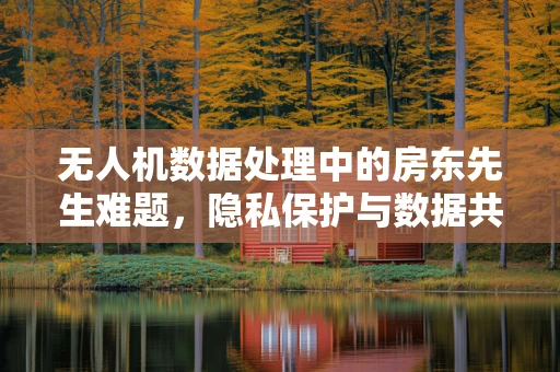 无人机数据处理中的房东先生难题，隐私保护与数据共享的平衡