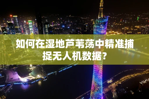 如何在湿地芦苇荡中精准捕捉无人机数据？