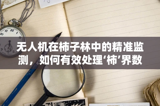 无人机在柿子林中的精准监测，如何有效处理‘柿’界数据的挑战？