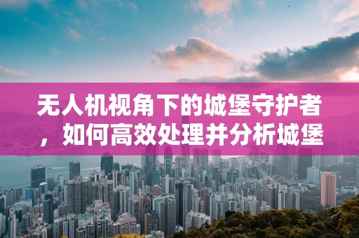 无人机视角下的城堡守护者，如何高效处理并分析城堡上空的数据？