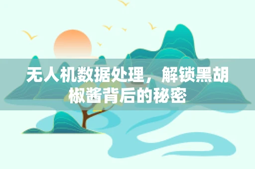 无人机数据处理，解锁黑胡椒酱背后的秘密