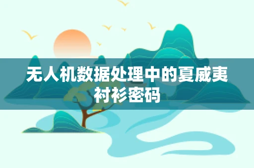 无人机数据处理中的夏威夷衬衫密码