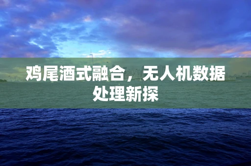 鸡尾酒式融合，无人机数据处理新探