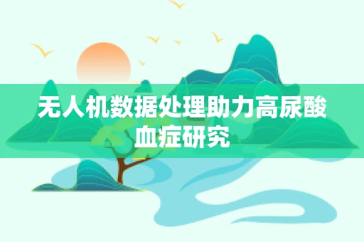 无人机数据处理助力高尿酸血症研究