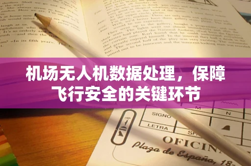 机场无人机数据处理，保障飞行安全的关键环节