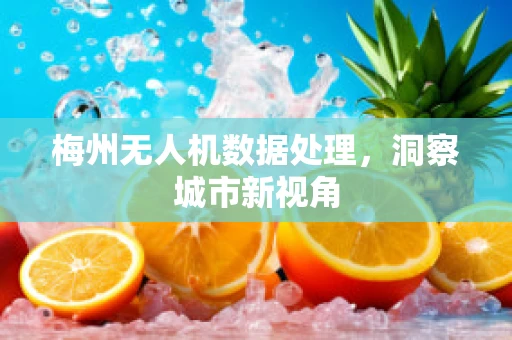 梅州无人机数据处理，洞察城市新视角