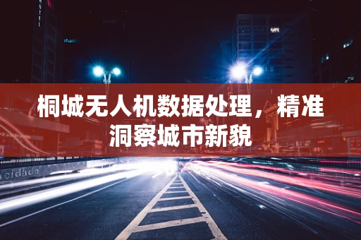 桐城无人机数据处理，精准洞察城市新貌