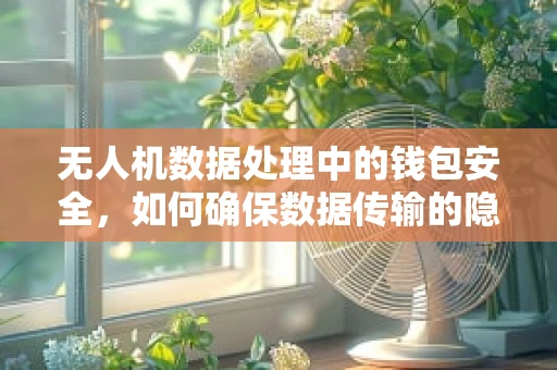 无人机数据处理中的钱包安全，如何确保数据传输的隐私与安全？