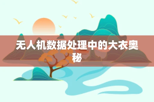 无人机数据处理中的大衣奥秘