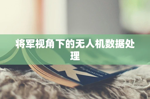 将军视角下的无人机数据处理