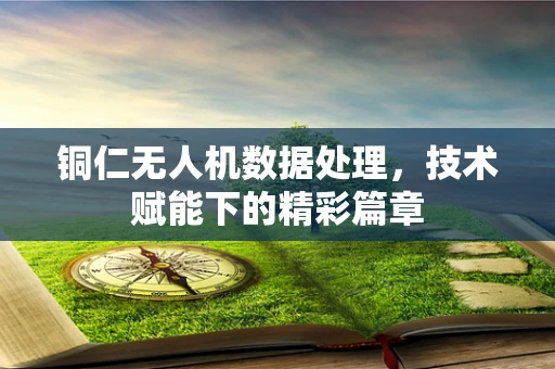 铜仁无人机数据处理，技术赋能下的精彩篇章