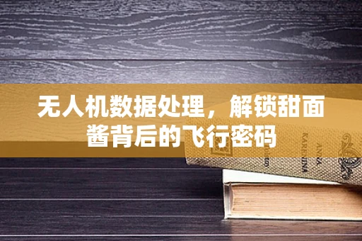 无人机数据处理，解锁甜面酱背后的飞行密码