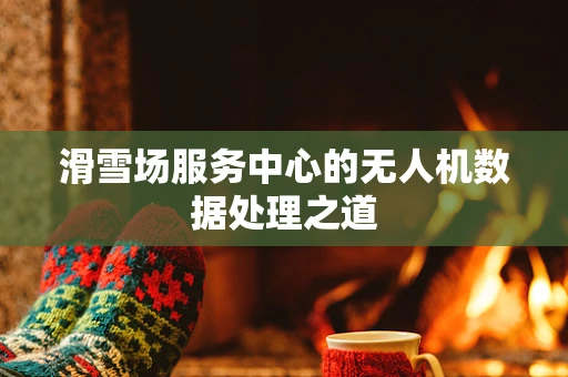 滑雪场服务中心的无人机数据处理之道