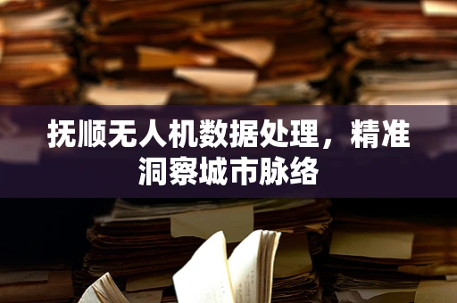 抚顺无人机数据处理，精准洞察城市脉络