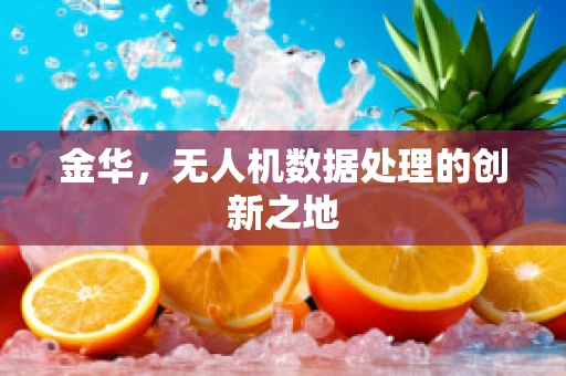 金华，无人机数据处理的创新之地