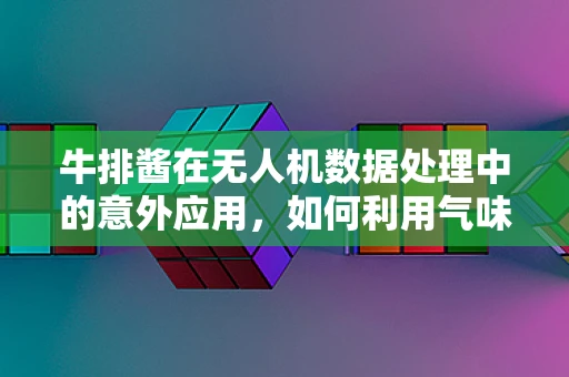 牛排酱在无人机数据处理中的意外应用，如何利用气味数据优化飞行决策？