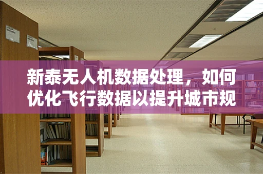 新泰无人机数据处理，如何优化飞行数据以提升城市规划效率？