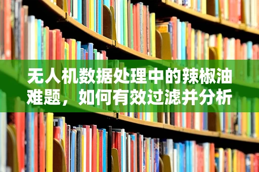 无人机数据处理中的辣椒油难题，如何有效过滤并分析高浓度数据流？